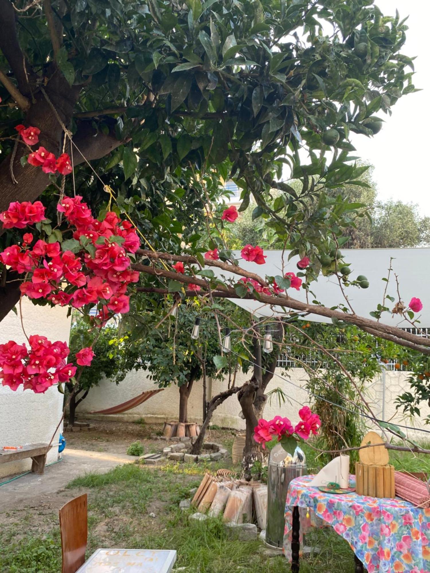 Best Located Ruby Luxury Escape Каламата Екстер'єр фото